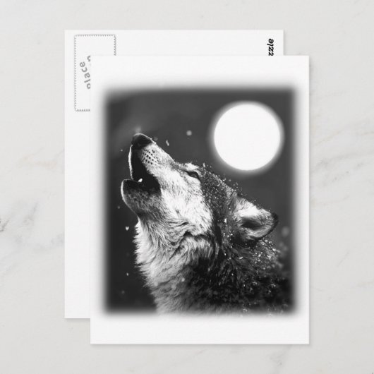 Carte Postale Wolf Howling à Moon (Devant / Derrière)