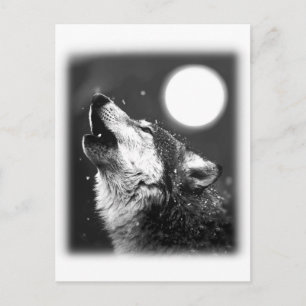 Carte Postale Wolf Howling à Moon