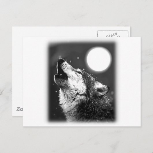 Carte Postale Wolf Howling à Moon (Devant / Derrière)