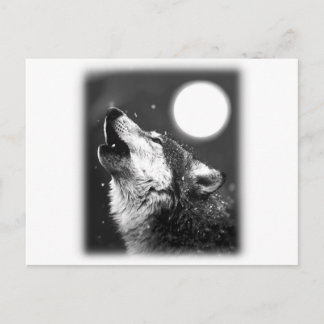 Carte Postale Wolf Howling à Moon