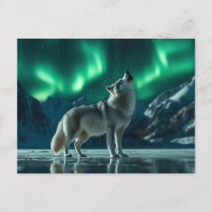 Carte Postale Wolf Howling Under the Northern Lights