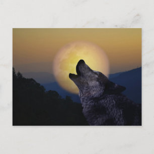 Carte Postale Wolf hurle sur la lune