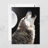 Carte Postale Wolf & Moon (Devant / Derrière)
