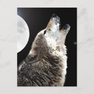Carte Postale Wolf & Moon