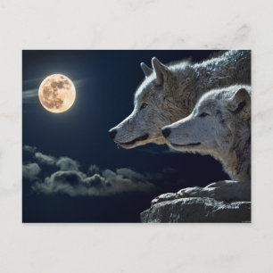 Carte Postale Wolf Pair Lune Nuit Imaginaire gothique