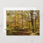 Carte Postale Wolf Rocks Trail en automne Pennsylvanie Paysage (Devant / Derrière)