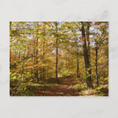 Carte Postale Wolf Rocks Trail en automne Pennsylvanie Paysage (Devant)