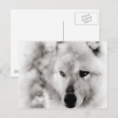 Carte Postale Wolf Spirit (Devant / Derrière)