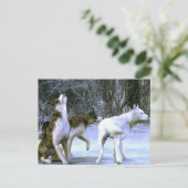 Carte Postale wolfpack (Debout devant)