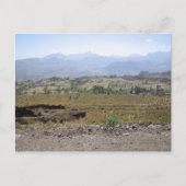 Carte Postale Wollo (Devant)