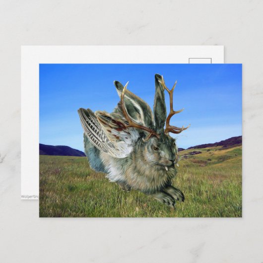 Carte Postale Wolpertinger (Devant / Derrière)