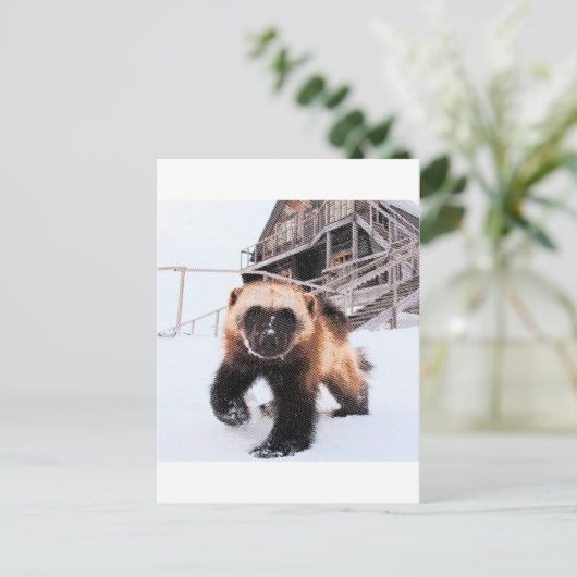 Carte Postale Wolverine gravée (Debout devant)