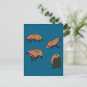 Carte Postale Wolverines (Debout devant)