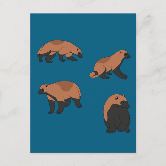 Carte Postale Wolverines (Devant)