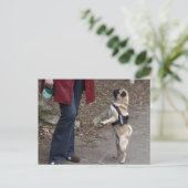 Carte Postale Womanizer (Debout devant)