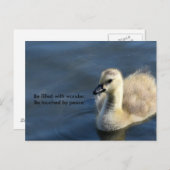 Carte Postale Wonder and Peace (Devant / Derrière)