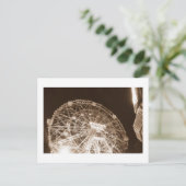 Carte postale Wonder Wheel at Night (Coney Island, (Debout devant)