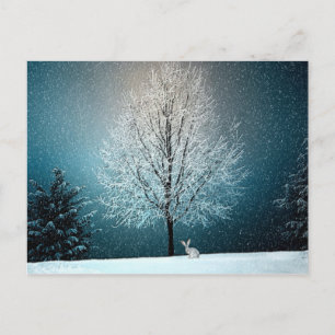 Carte Postale Wonderland d'hiver avec lapin
