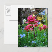 Carte Postale Wondrous Fleurs sauvages (5) (Devant / Derrière)