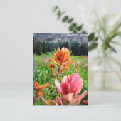 Carte Postale Wondrous Fleurs sauvages (6) (Debout devant)