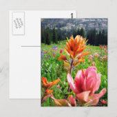 Carte Postale Wondrous Fleurs sauvages (6) (Devant / Derrière)
