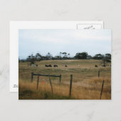 Carte Postale Wonthaggi (Devant / Derrière)