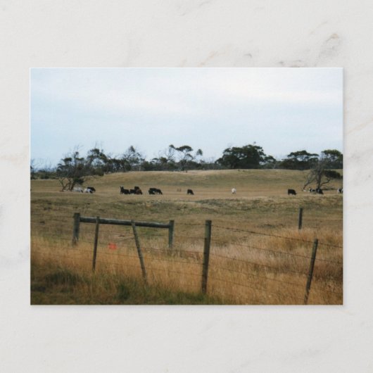 Carte Postale Wonthaggi (Devant)