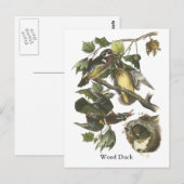 Carte Postale Wood Duck, John Audubon (Devant / Derrière)