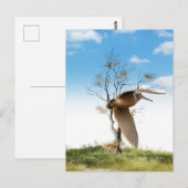 Carte Postale Woodcock (Devant / Derrière)