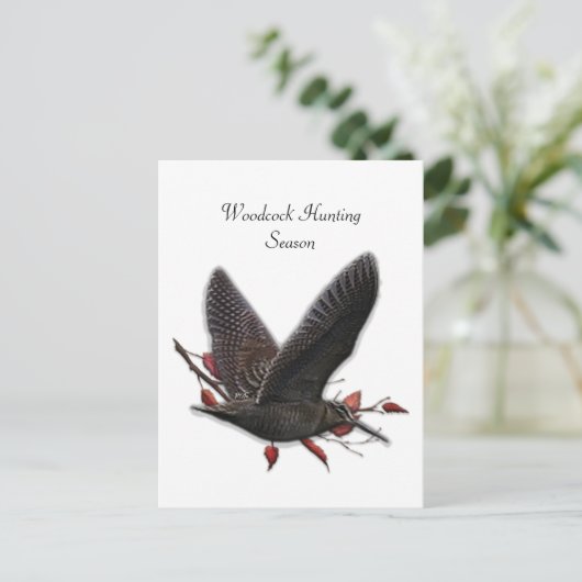 Carte Postale Woodcock (Debout devant)