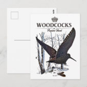Carte Postale Woodcocks - Chasse à la passion (Devant / Derrière)