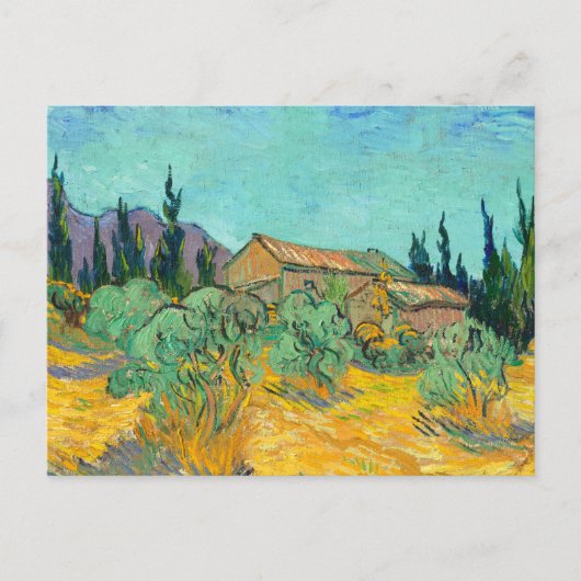 Carte Postale Wooden Cabins among the Olive Trees and Cypresses (Devant)