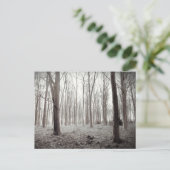 Carte postale Woodland Dream (Debout devant)