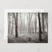 Carte postale Woodland Dream (Devant / Derrière)