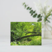 Carte postale Woodland Scene (Debout devant)