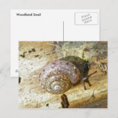 Carte postale Woodland Snail (Devant / Derrière)