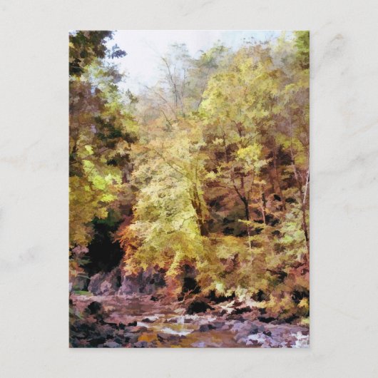 CARTE POSTALE WOODLAND STREAM (Devant)