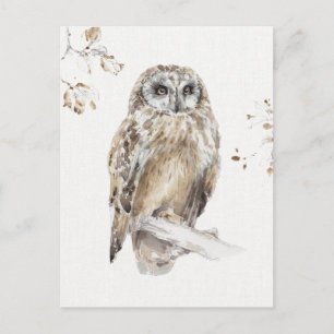 Carte Postale Woodland Walk