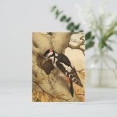 Carte postale Woodpecker (Debout devant)