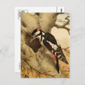 Carte postale Woodpecker (Devant / Derrière)