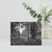 Carte Postale Woods Bute Park, Cardiff (Debout devant)