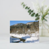 Carte Postale Woodstock, VT (Debout devant)