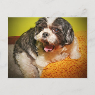 CARTE POSTALE WOOF !