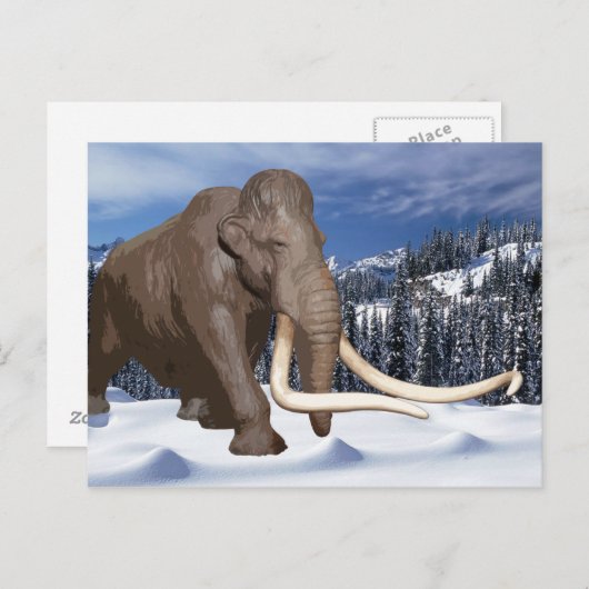 Carte postale Wooly Mammoth (Devant / Derrière)