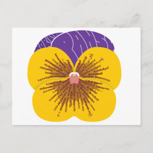 Carte postale Wor(l)d Pansy