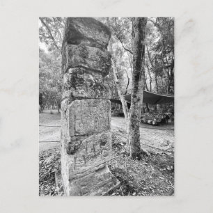 Carte Postale World2Celebrate : Salutations de Chichén Itzá!