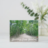 Carte Postale World2Celebrate : Salutations du Yucatán ! (Debout devant)