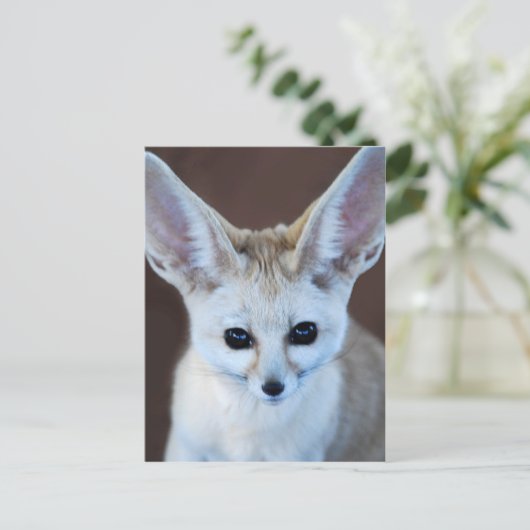 Carte Postale Worlest Cutest Fennec Fox (Debout devant)