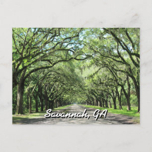 Carte postale Wormsloe Plantation Savannah