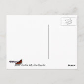 Carte Postale Worn Rock Walls dans le Parc national de Sion (Dos)